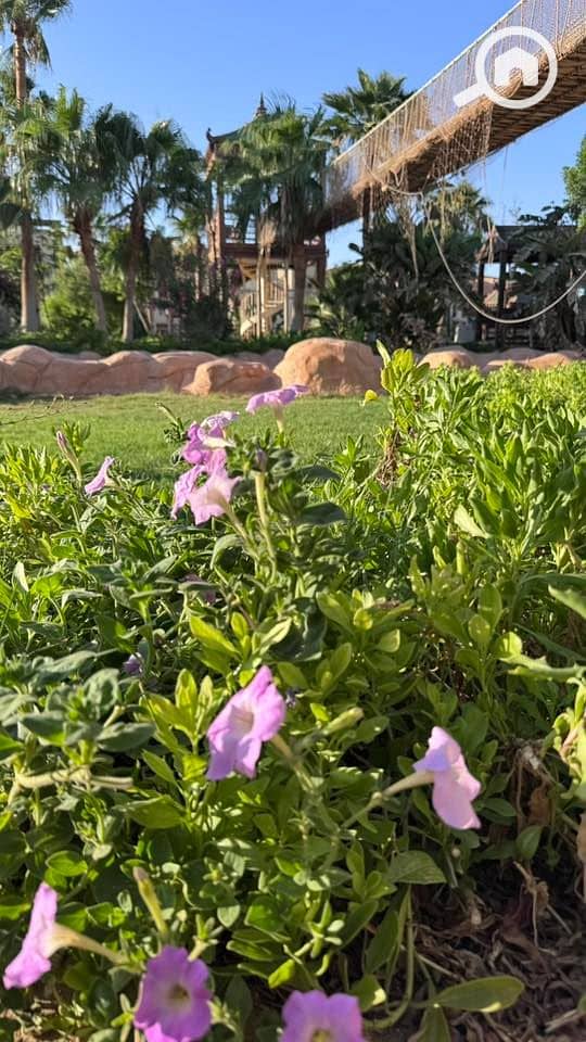 10 536266931_23924806223887383_1909709660152659911_n. jpg