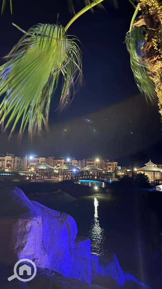 12 536269447_23924805707220768_4650110327296163889_n. jpg