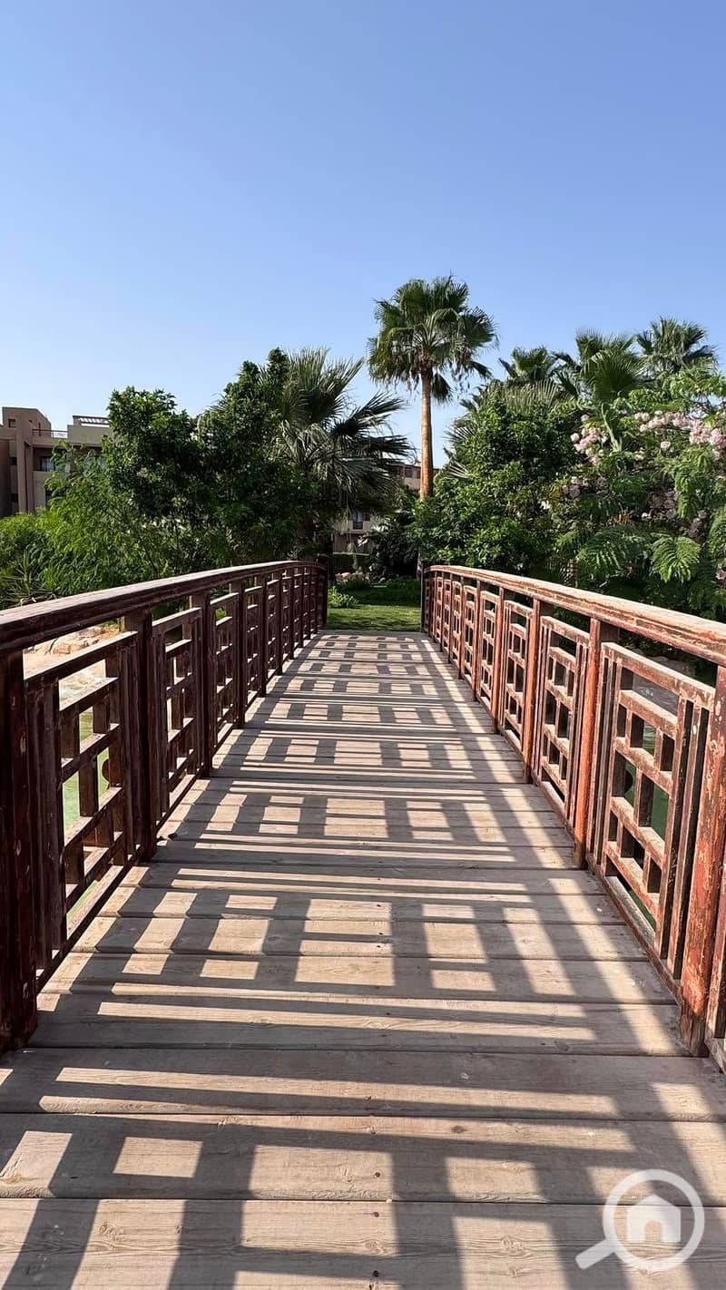 5 536272863_23924826877218651_2766162655880250323_n. jpg