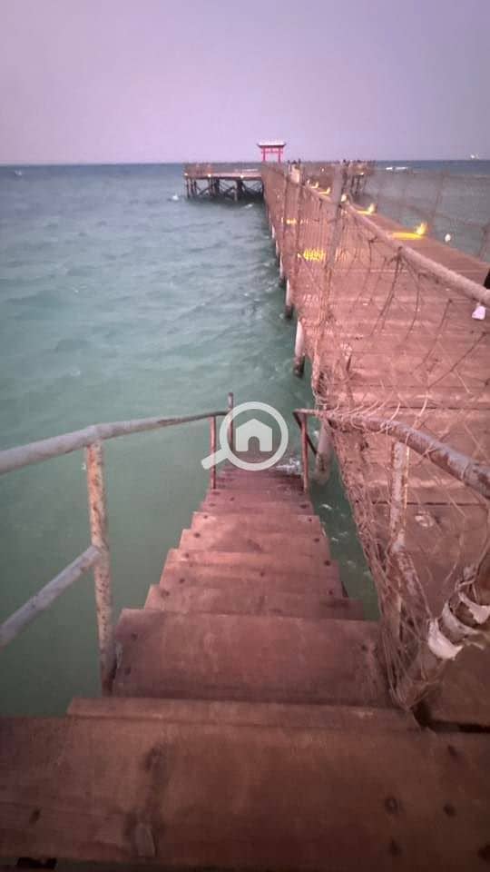 6 536273239_23924812173886788_8919411530965510691_n. jpg