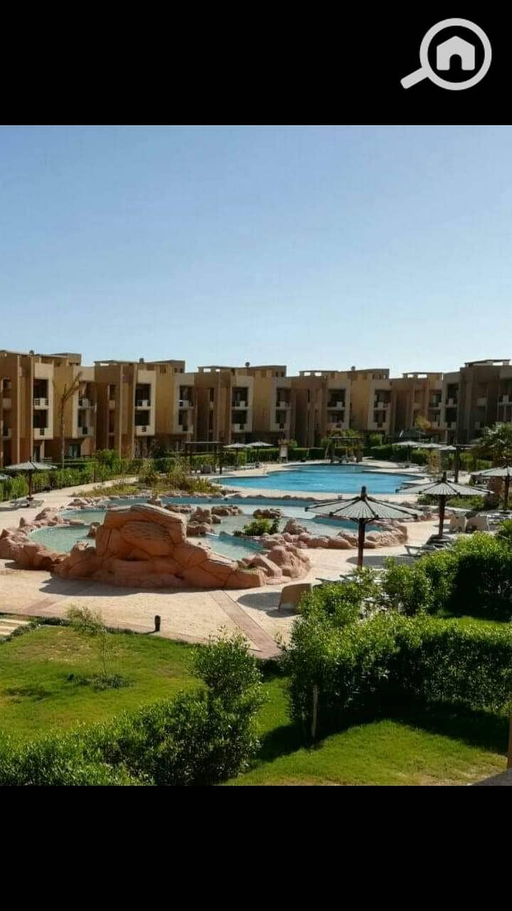 12 WhatsApp Image 2025-12-21 at 14.00. 33 (1). jpeg