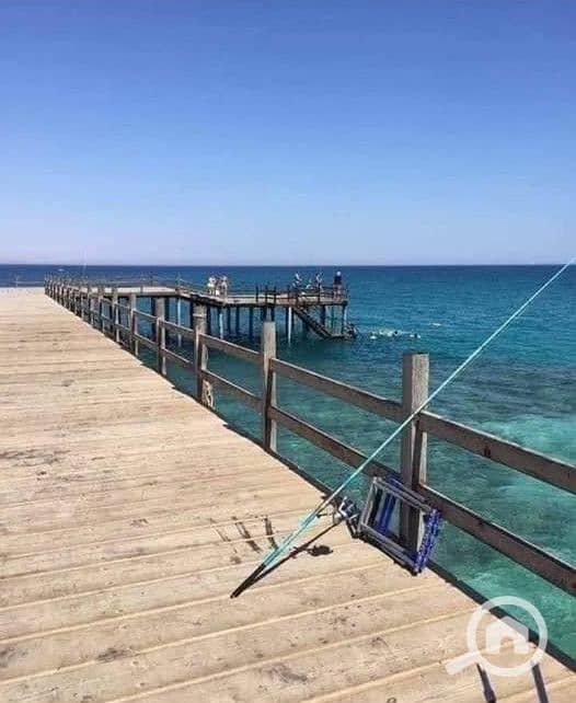 3 597827242_753505807790443_2125891483232397385_n. jpg