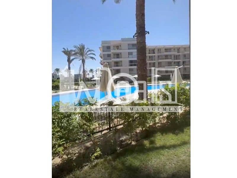 4 WhatsApp Image 2025-12-28 at 13.28. 39 (1). jpeg