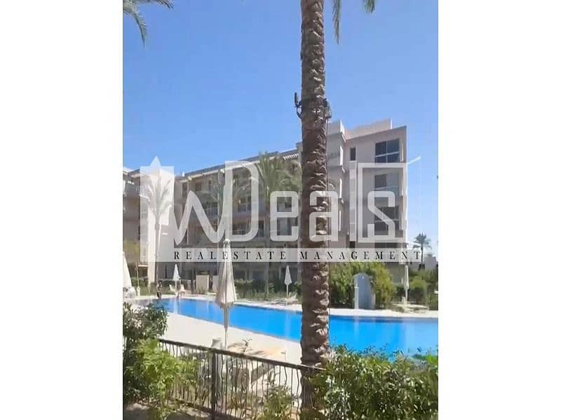 6 WhatsApp Image 2025-12-28 at 13.28. 41 (1). jpeg