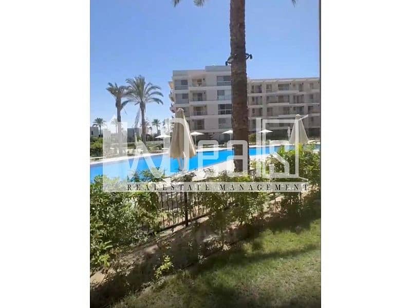 3 WhatsApp Image 2025-12-28 at 13.28. 41 (2). jpeg