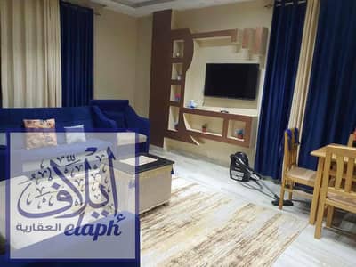 2 Bedroom Apartment for Rent in New Cairo, Cairo - a0cb3b01-0423-47a3-b09c-c745045b652d. jpg