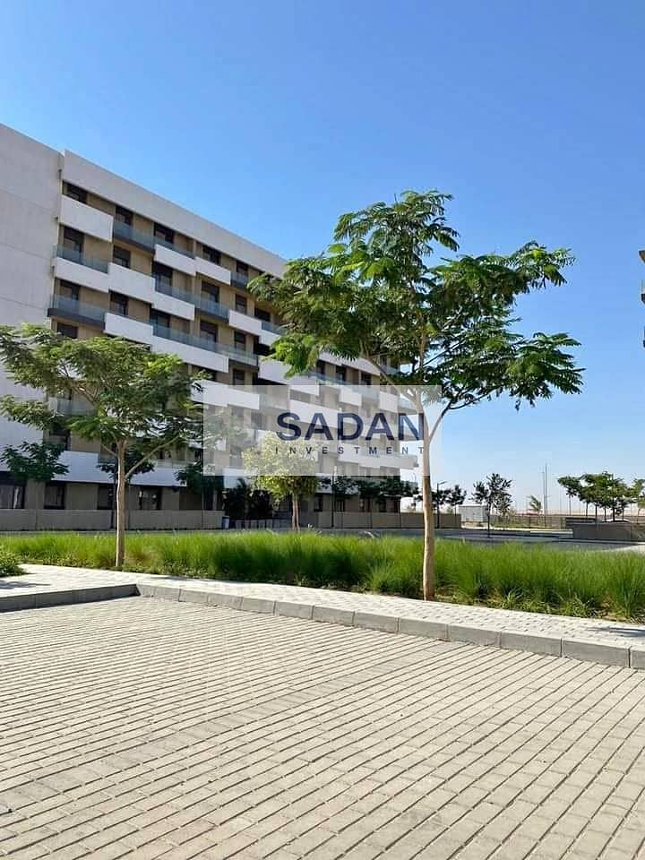 6 386520043_24066075886340609_3493960518733871301_n. jpg