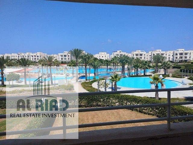 598333448_122099800077171526_630082725360396021_n. jpg 598333448_122099800077171526_630082725360396021_n. jpg