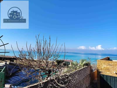 فلیٹ 3 غرف نوم للايجار في عجمي، الإسكندرية - 67145. jpg