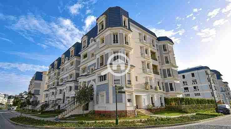 3 images - 2025-08-01T202525.978. jpeg