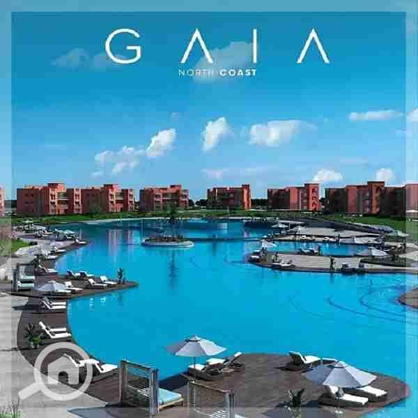 12 جايا-الساحل-الشمالي. webp