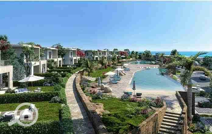 6 images - 2025-08-04T182943.959. jpeg