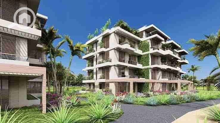 10 images - 2025-08-04T183111.177. jpeg