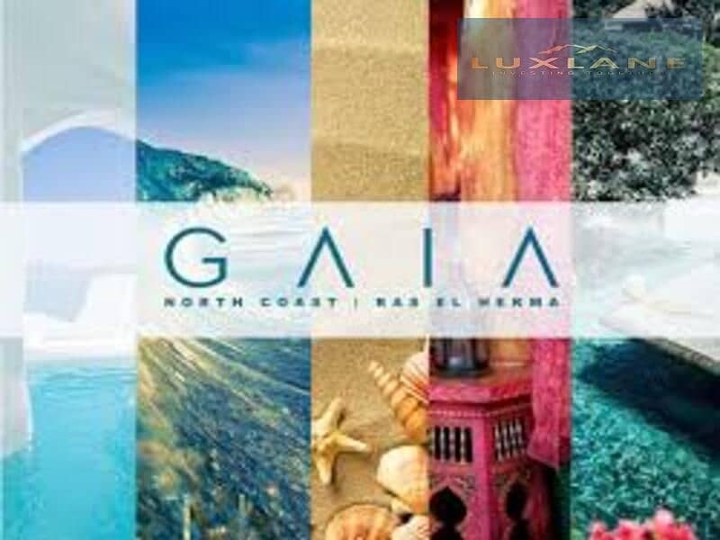 12 ظظظظظظظ. jpeg