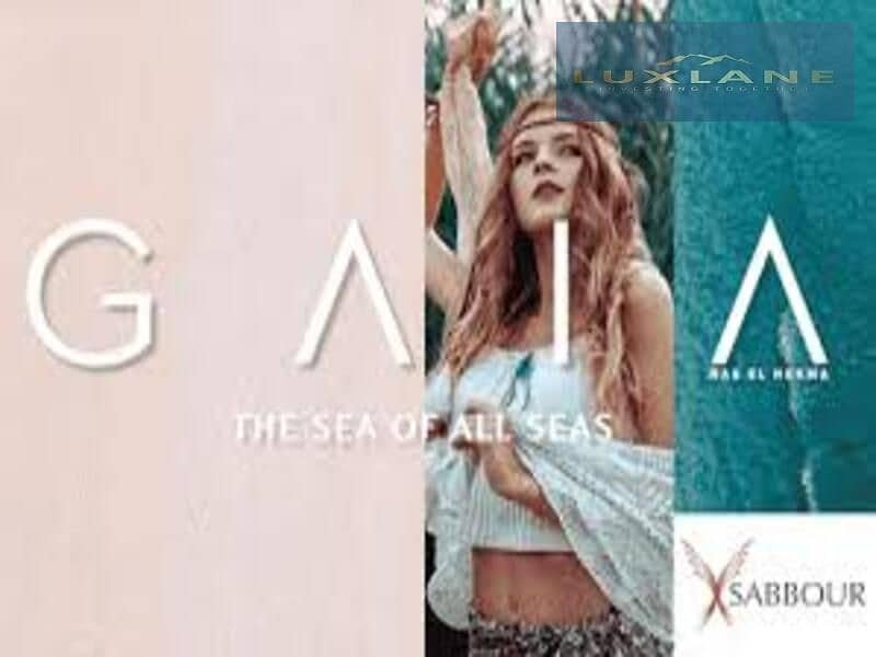 13 ظظظظظظظظظ. jpeg