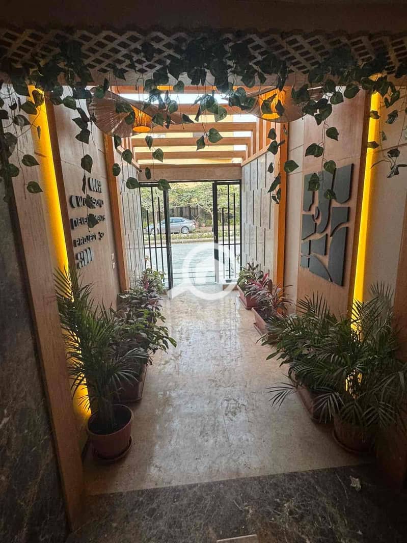 13 c0c61763-1ea8-47bb-9a1e-1d24262b93b8. jpg