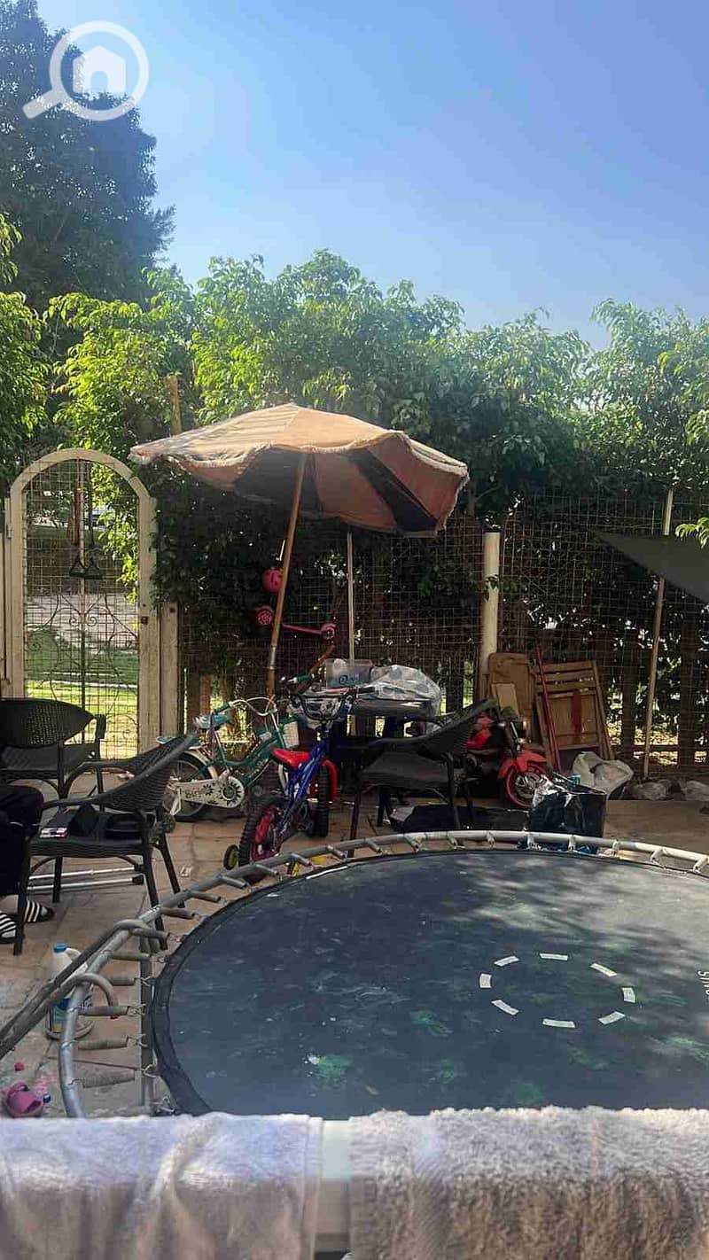 1000290876. jpg 1000290876. jpg