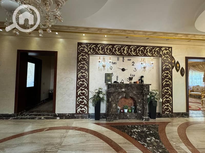 7 1d7045a4-d2a8-471e-a6e4-6906f5f79995. jpeg