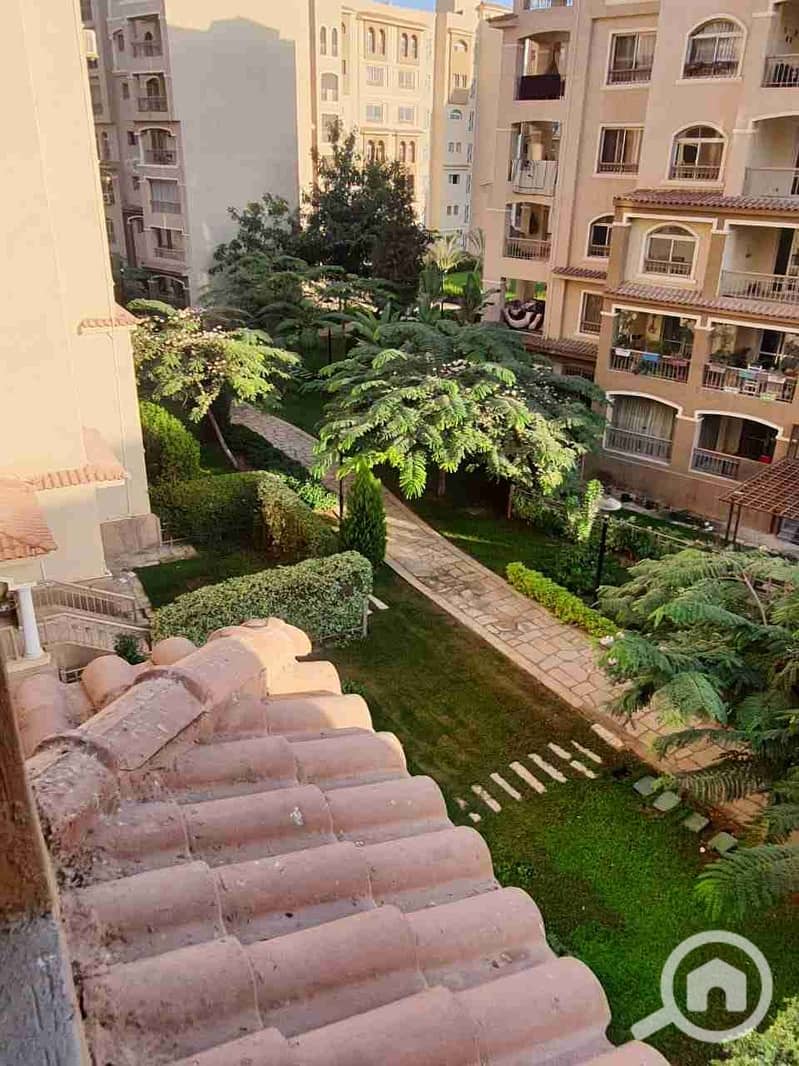 IMG-20211109-WA0011. jpg IMG-20211109-WA0011. jpg