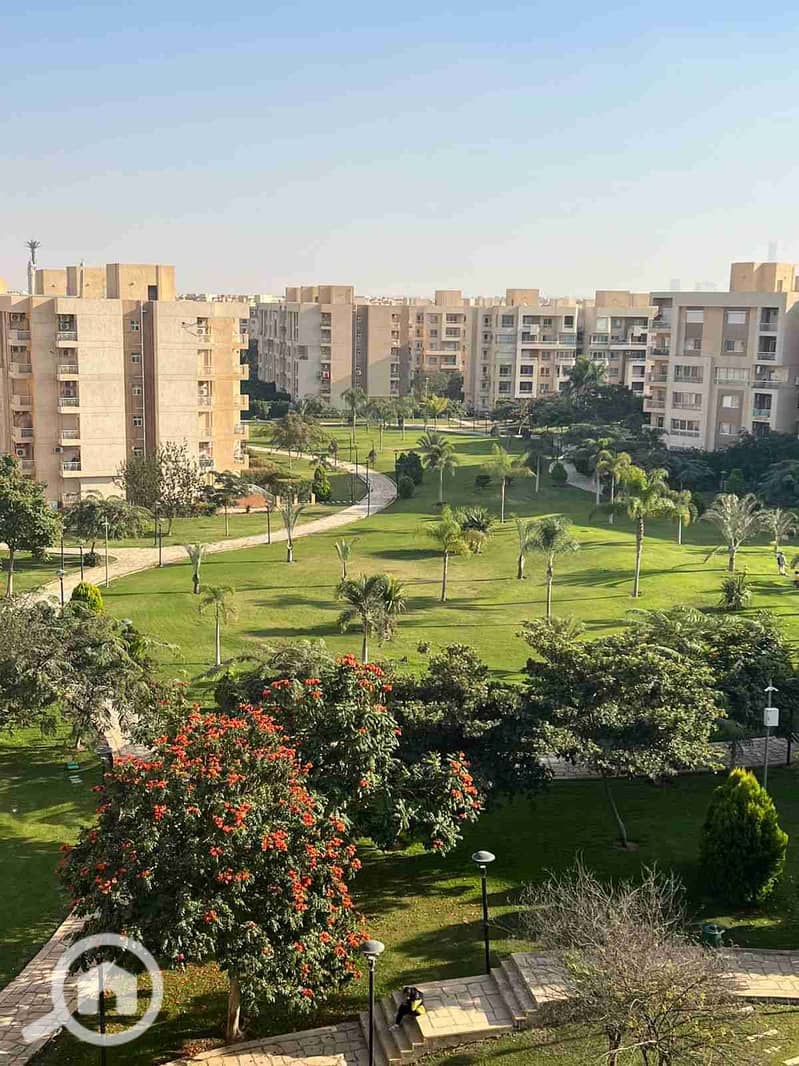 1000289743. jpg 1000289743. jpg