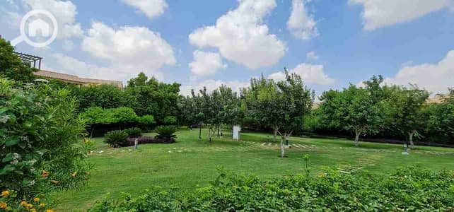 4 Bedroom Twin House for Sale in Madinaty, Cairo - 1000292254. jpg