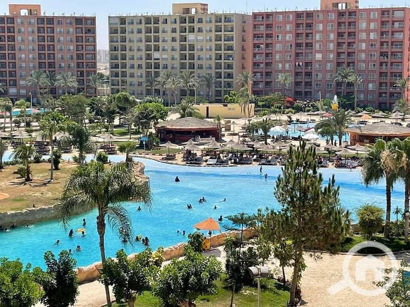 482005818_1380941436610503_9123108900262615115_n. jpg 482005818_1380941436610503_9123108900262615115_n. jpg