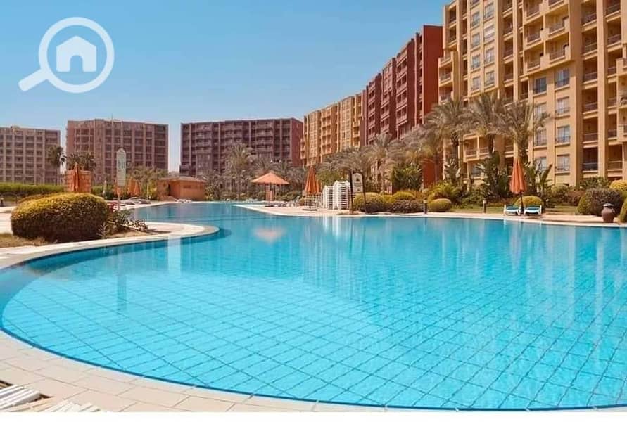 5 481207090_1380941783277135_713489670199875399_n. jpg