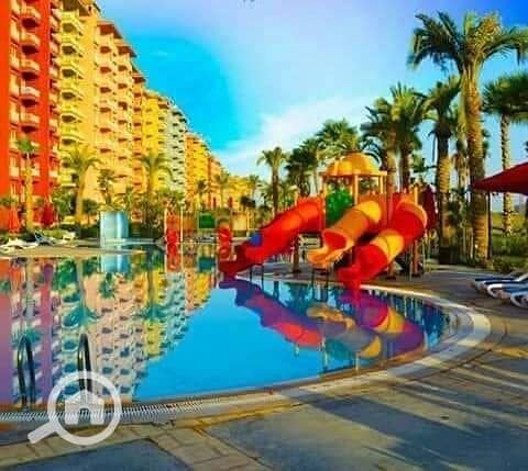 6 481249578_1380941589943821_1290517847933297566_n. jpg