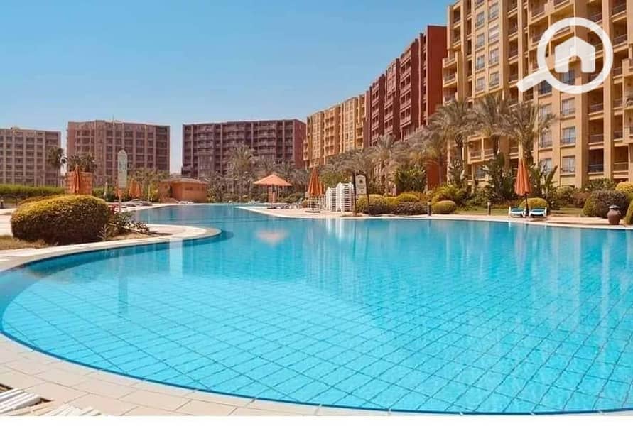 5 481207090_1380941783277135_713489670199875399_n. jpg