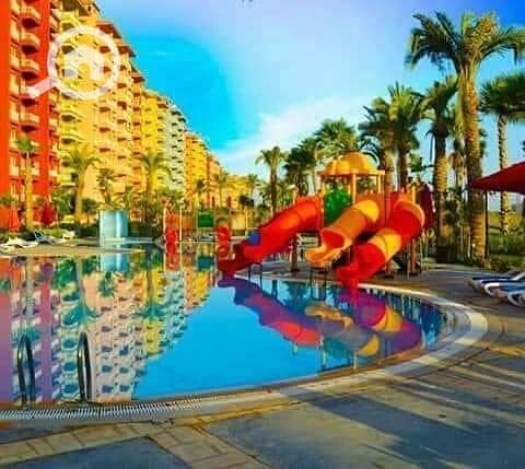 6 481249578_1380941589943821_1290517847933297566_n. jpg