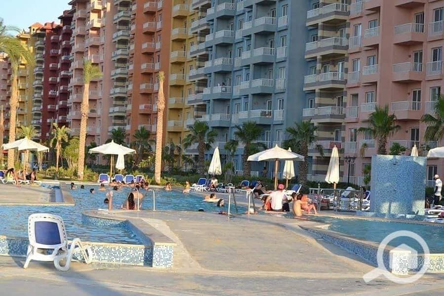 3 481075004_1380941539943826_6799867035657964722_n. jpg