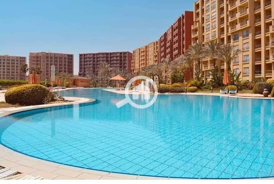 4 481207090_1380941783277135_713489670199875399_n. jpg