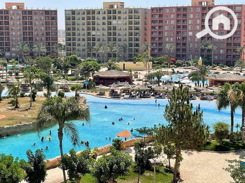 7 482005818_1380941436610503_9123108900262615115_n. jpg