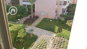 6 63492a16-bc97-40af-8bca-a19539d60a42. jpeg