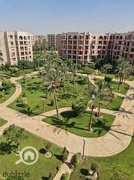 7 8d5aacd6-61d5-4957-8caf-e794d37c4ded. jpeg