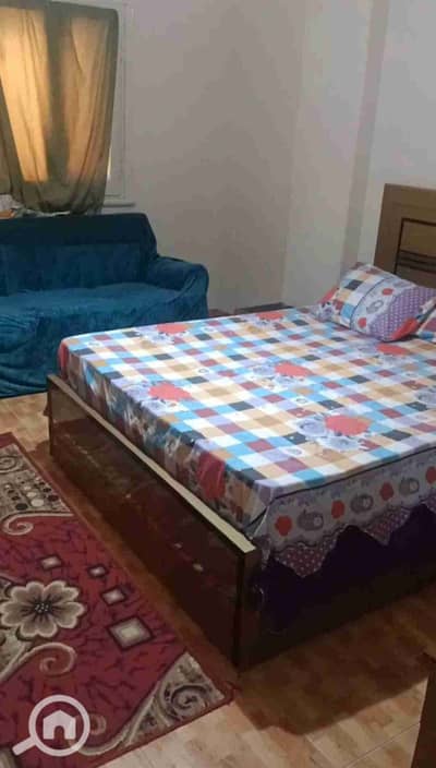 2 Bedroom Apartment for Rent in Dokki, Giza - 1000282478. jpg