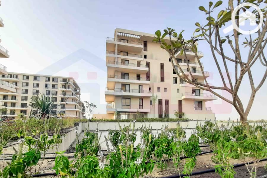 7 IMG-20251023-WA0022. jpg