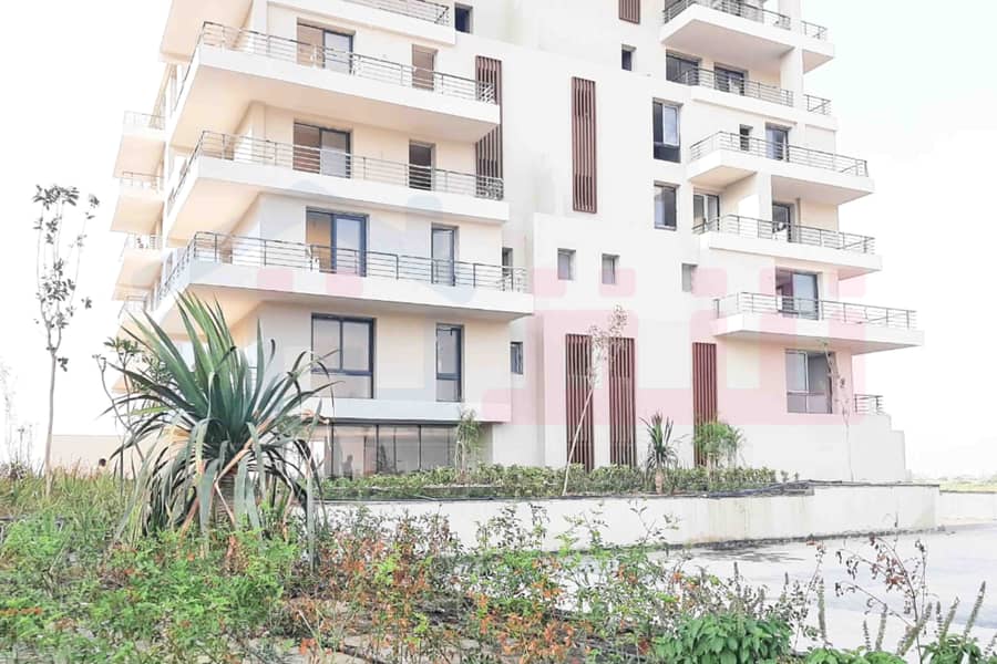 8 IMG-20251023-WA0023. jpg