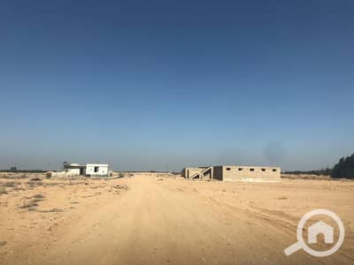 زراعي  للبيع في 6 أكتوبر، الجيزة - IMG-20250515-WA0008. jpg