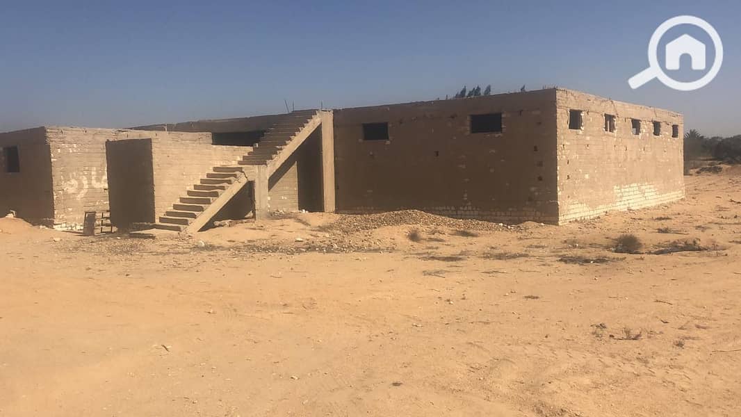 3 IMG-20250515-WA0007. jpg