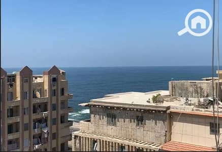 فلیٹ 3 غرف نوم للايجار في سبورتنج، الإسكندرية - 5. png