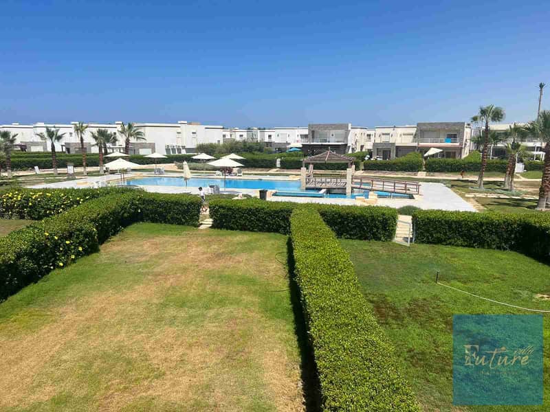 1001277990. jpg 1001277990. jpg