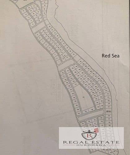 5 WhatsApp Image 2024-01-18 at 1.52. 56 PM_a6323_lg. jpg