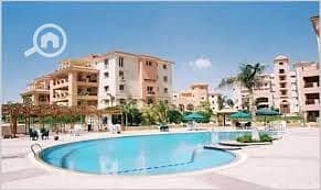 9 photo_3_2025-12-29_12-40-15. jpg