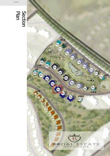 3 IMG_7718_6401e_lg. jpg