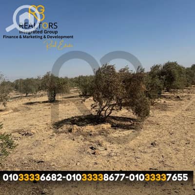 Residential Land for Sale in Fayoum City, Fayoum - 4. png