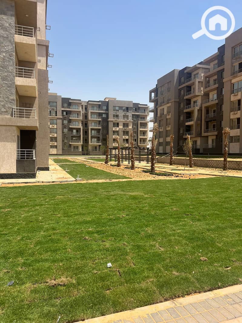 5 03ce15dc-cc6b-4d1d-9761-166632bf55ef. jpg