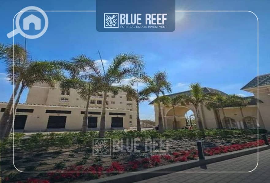 6 WhatsApp Image 2025-12-29 at 1.06. 30 PM. jpeg