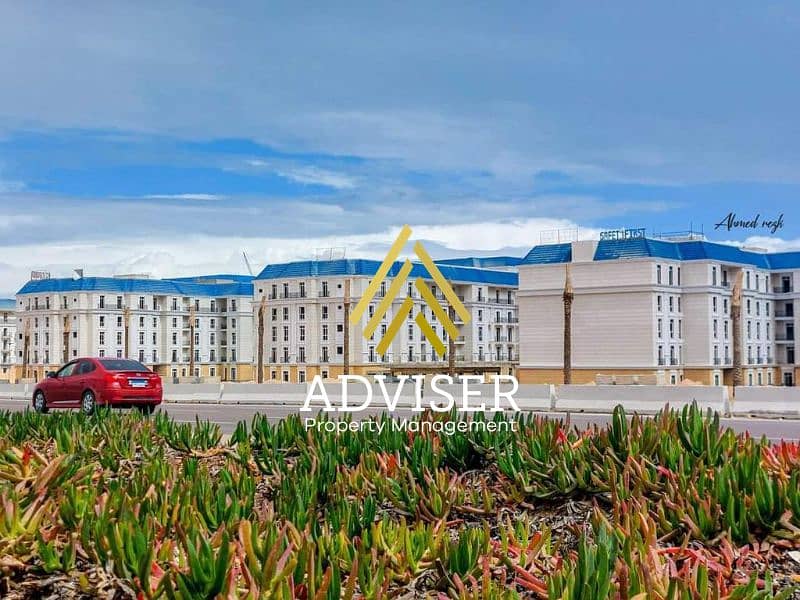 2 ready to move  (5). jpg