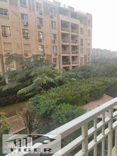 2 Bedroom Flat for Rent in Madinaty, Cairo - 1002961235. jpg